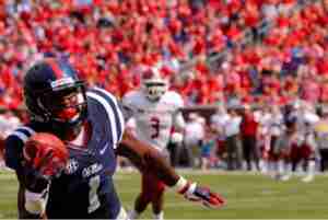 Amanda captured this picture of Laquon's spectacular one-handed grab vs. New Mexico in 2015. (Photo credit: Amanda Swain)