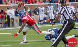 RW_Memphis_Game_2014_3