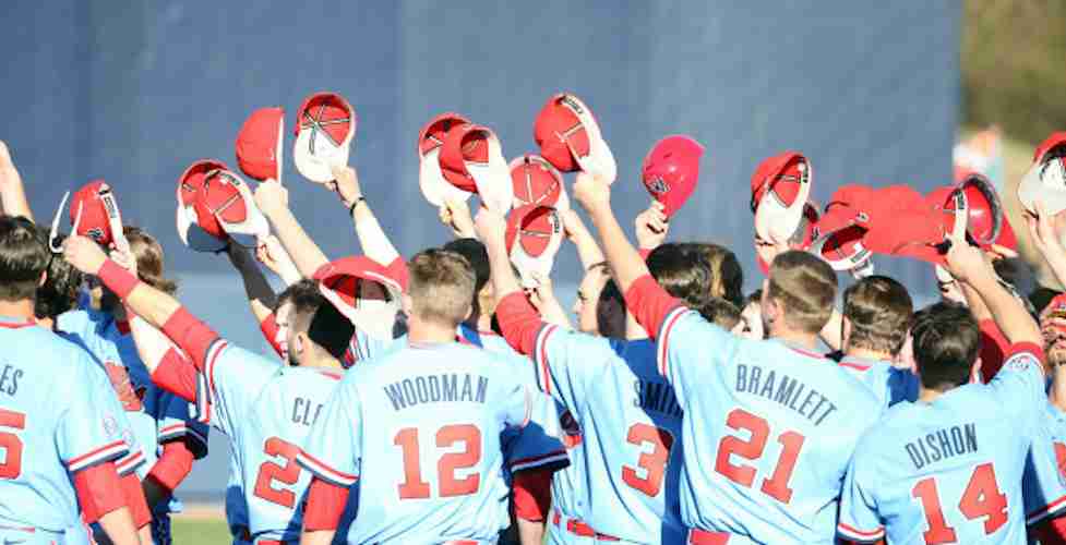 Diamond Rebs climb poll after impressive series win
